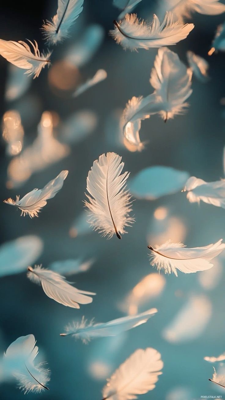 Bridging the Gap: What I Learned Supporting Someone Older Than&nbsp;Me