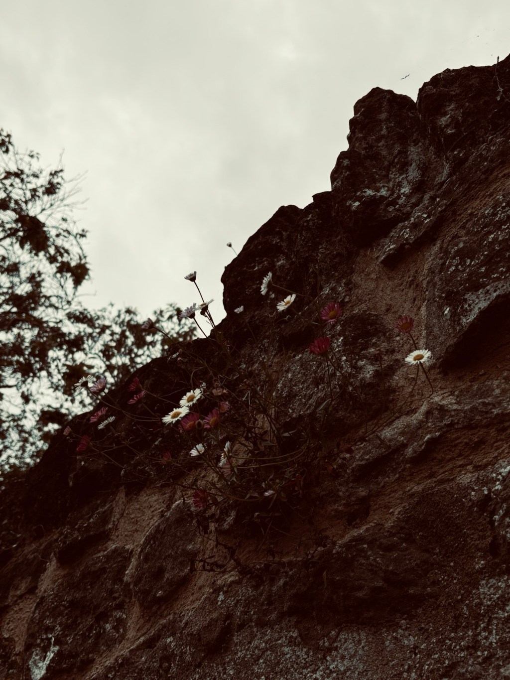 Reflections on Recovery: The Power of Consistent Care and&nbsp;Support